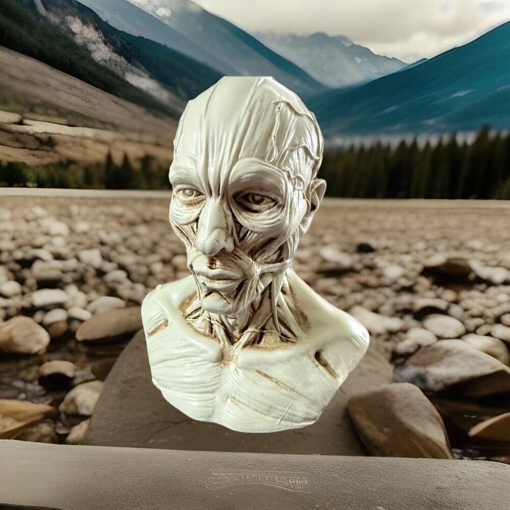 HUMAN MODEL‎ ANATOMY FACIAL FEATURES RESIN SMALL DESK TOP